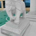 宁波 白麻花岗岩动物异形石雕-大象